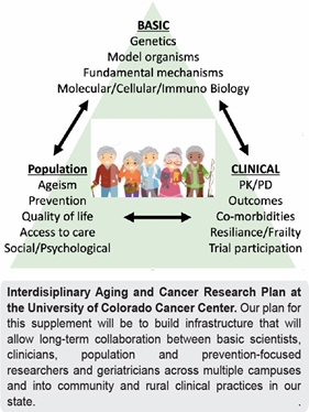 pyramid graphic showing the research plan