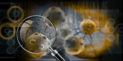 magnifying glass looking at cells