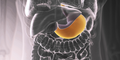 X-ray of body highlighting stomach
