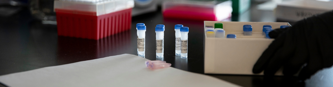 Test tubes backlit on a lab counter with a black gloved hand holding a sample box