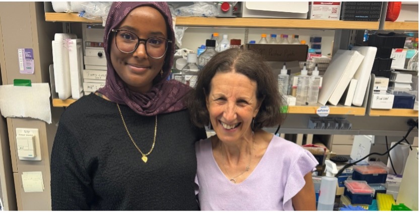 Dark skinned woman in a hijab next to shorter brunette woman in a blouse