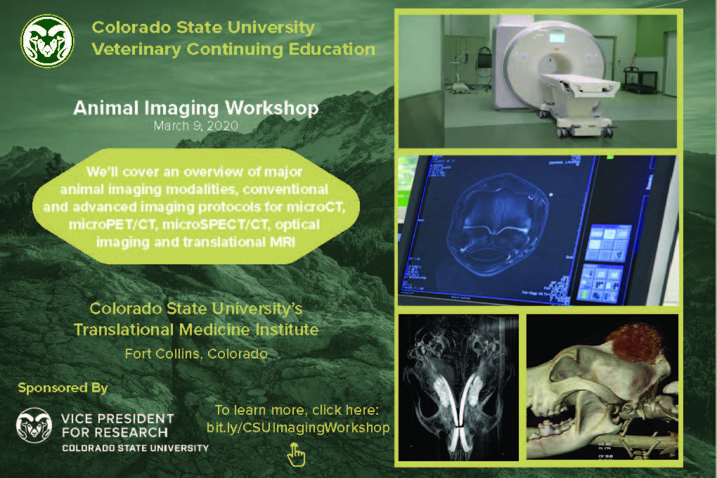 CSU Imaging conference pamphlet