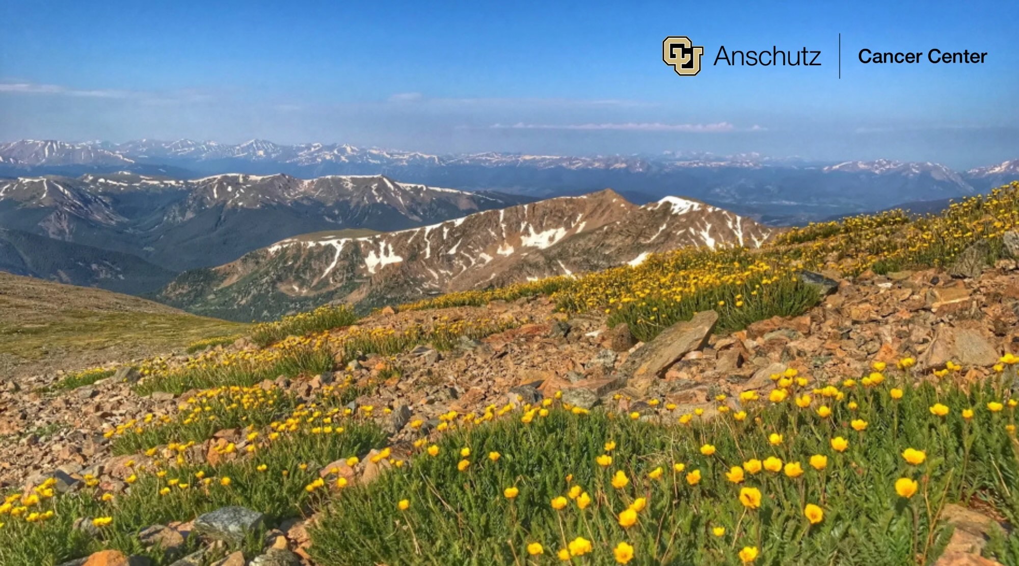 MountaintopviewofflowerswithCUAnschutzCancerCenterLogo