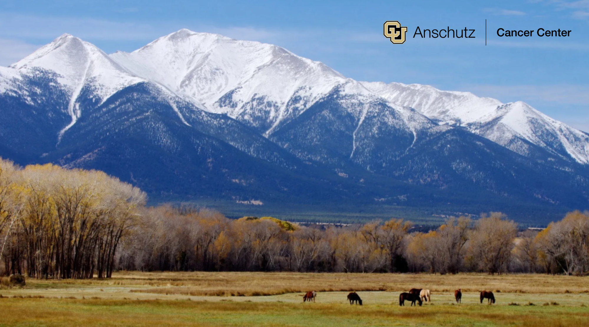 ViewofhorsepasturewithsnowcappedmountainsinthebackgroundwithCUAnschutzCancerCenterLogo