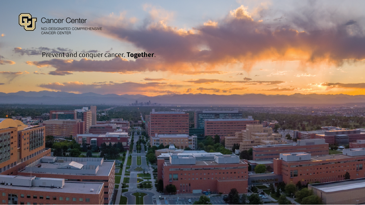 UCCC sunset campus zoom background