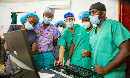 Anesthesiologists in scrubs looking at computer screen