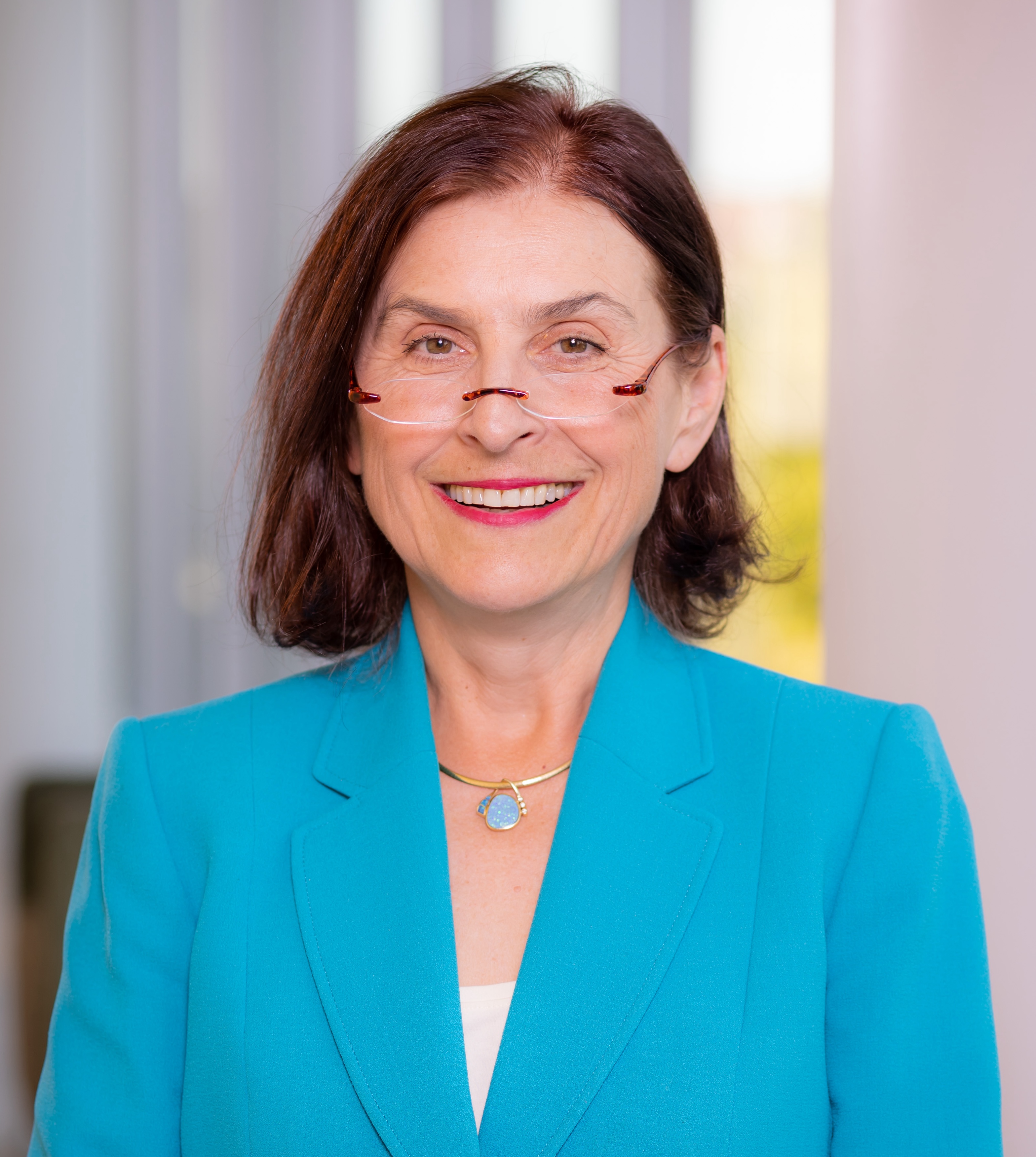 Chair Vesna Jevtovic-Todorovic, MD, MBA