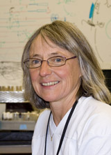 Joan Hooper Anschutz Cell Developmental Biology