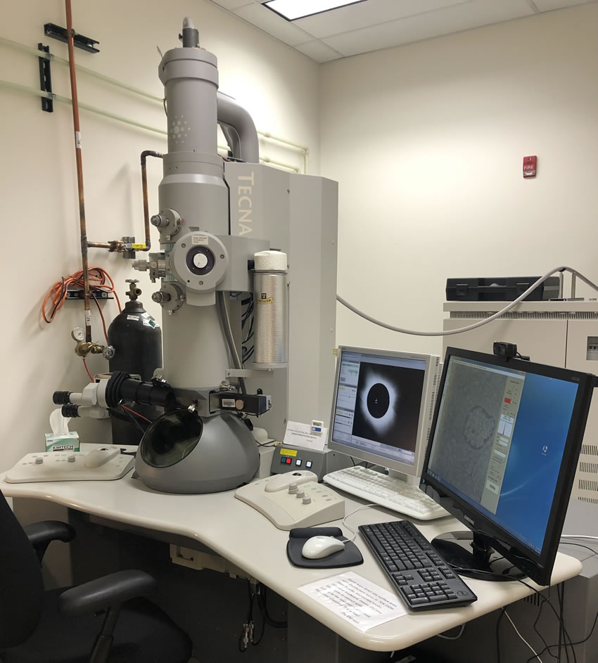 Our TEM (Transmission Electron Microscope)