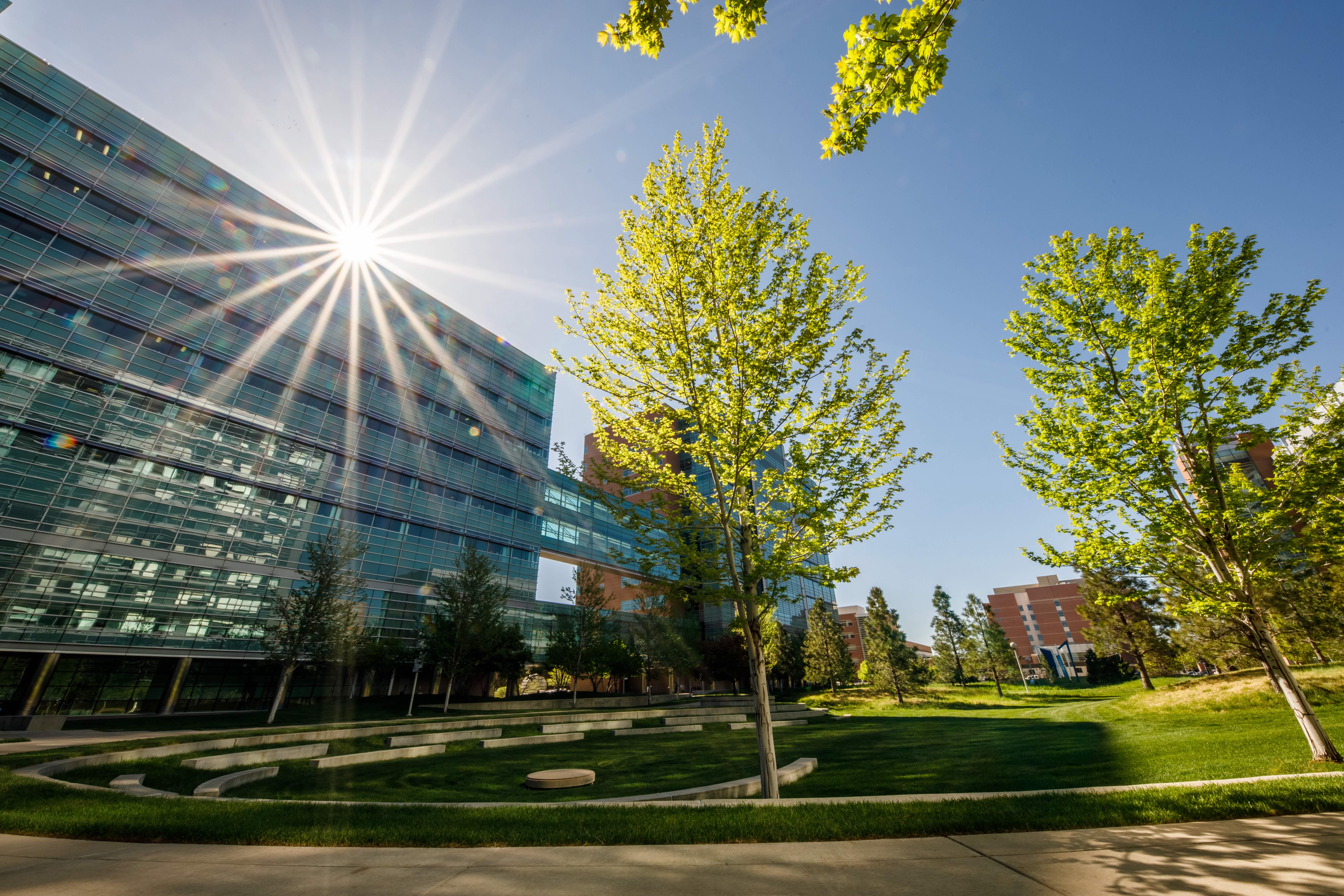 A bright sun shining behind Research 1 North and South buildings