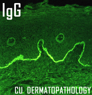 Green background of the Dermatopathology logo