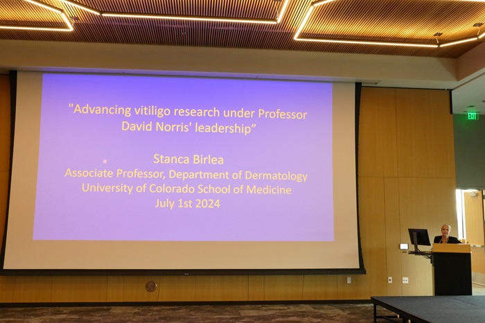 Dr. Stanca Birlea's presentation on a large projector screen