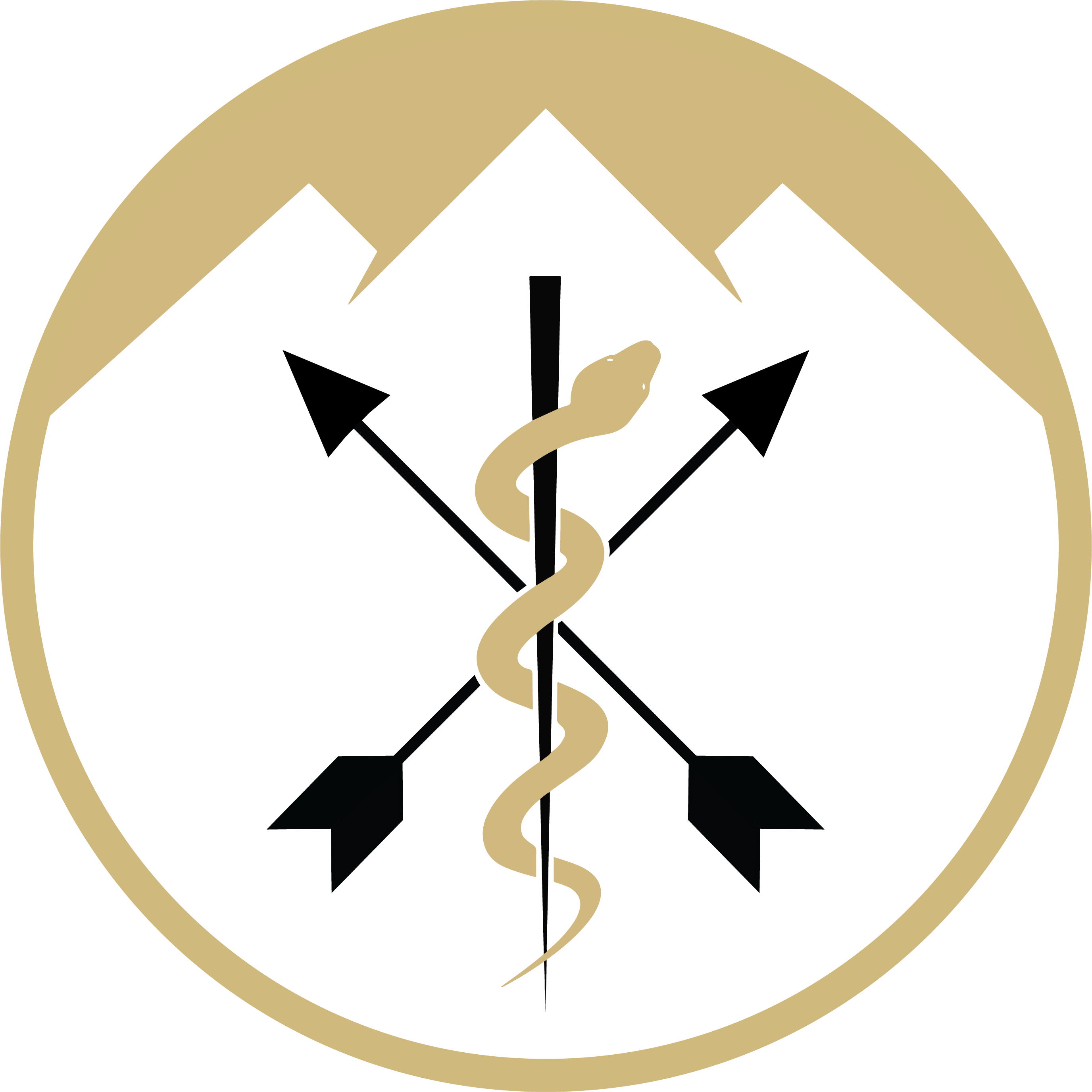 COMBAT Logo New 2026