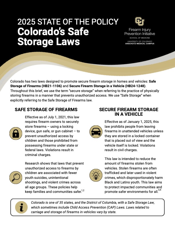 Are Pistol Safes Legal in All States? Essential Facts Revealed