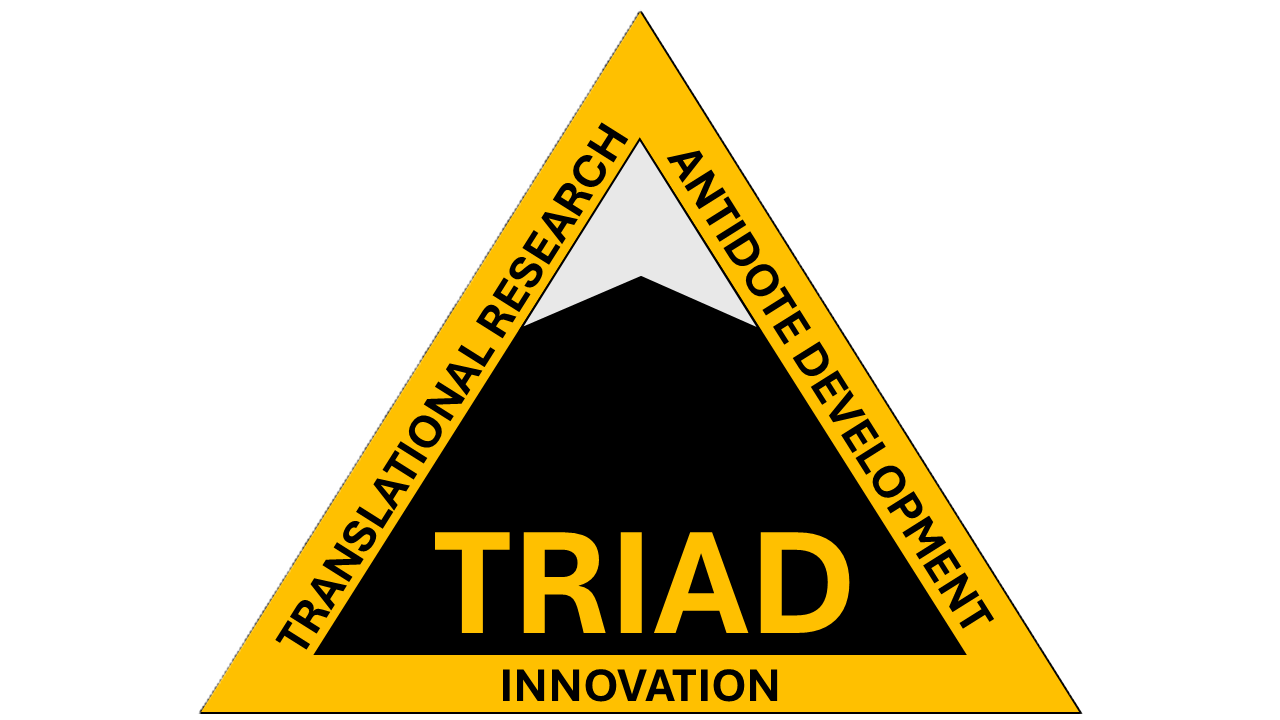 TRIAD lab logo 2025
