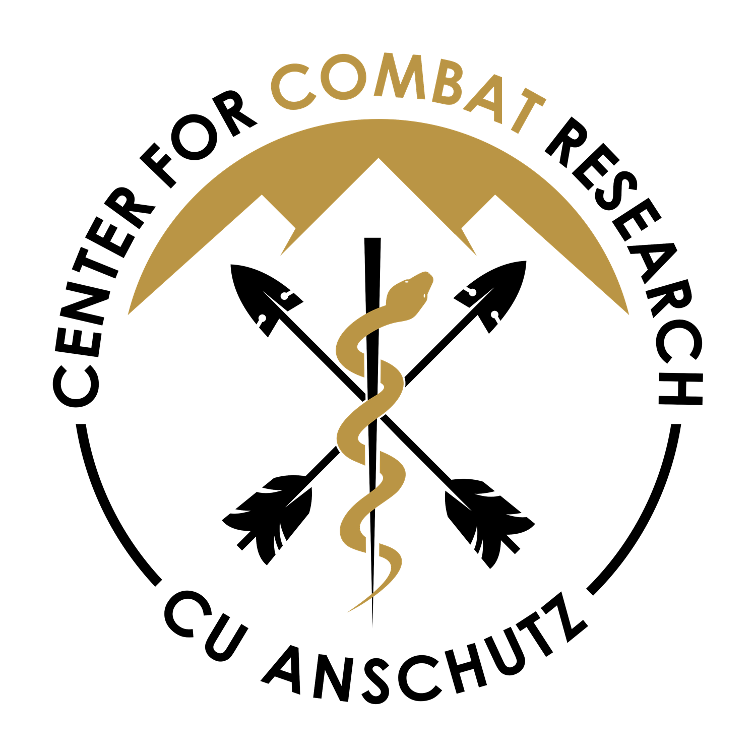 Center for COMBAT Research logo