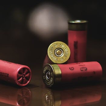 Picture of ammunition shells