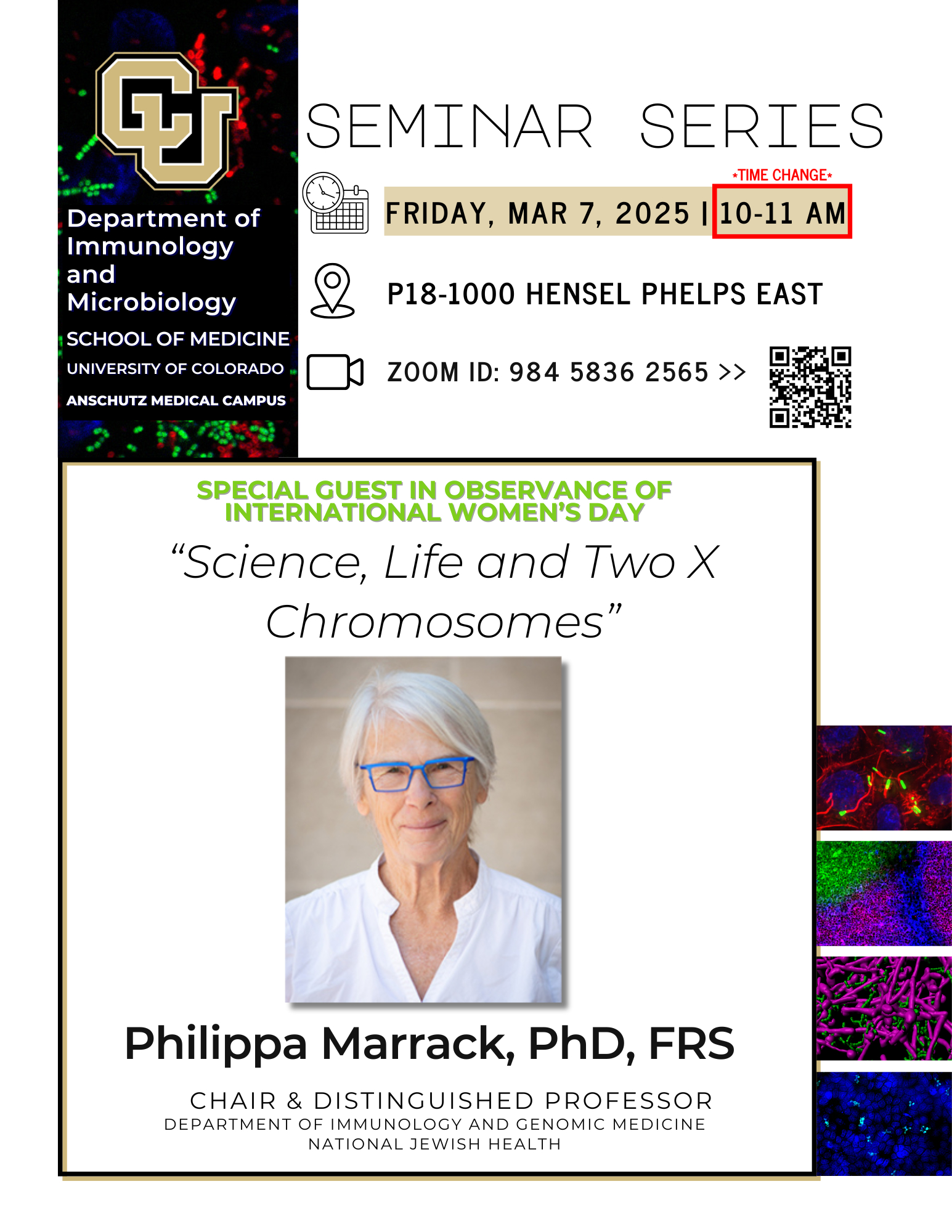 upDATEDpIPPAmARRACKfLYER