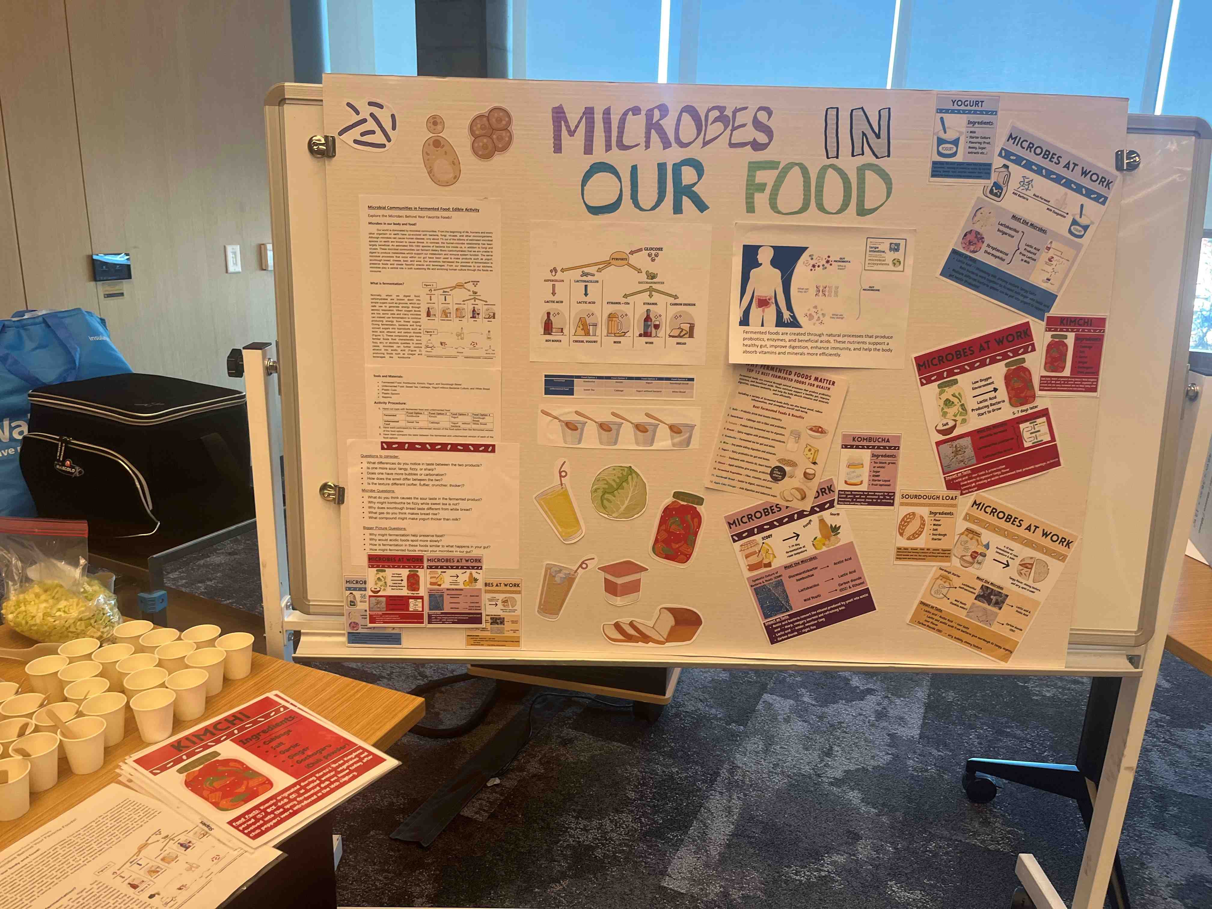 PhotoofMicrobsinourFoodpostersanddisplays