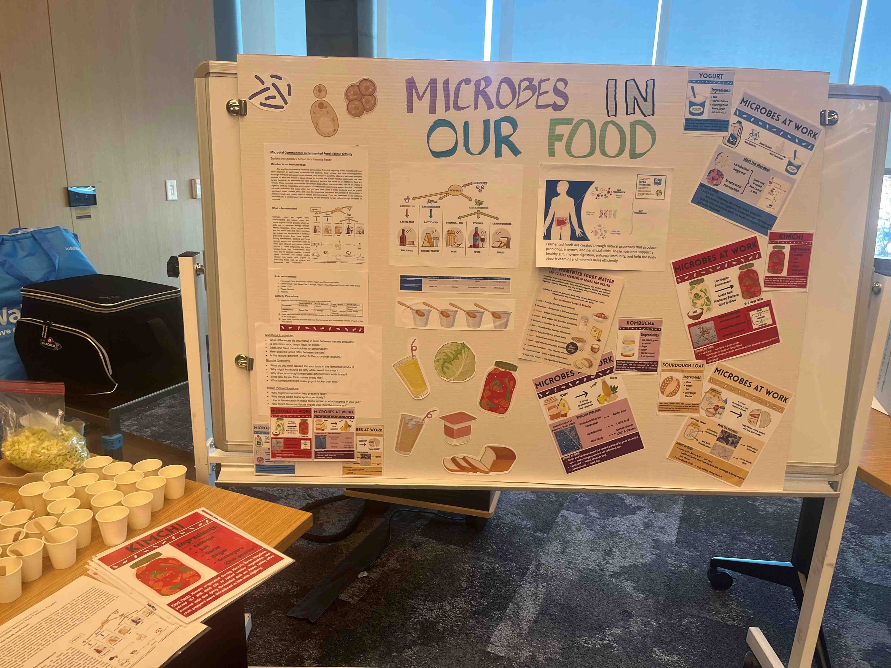 PhotoofMicrobsinourFoodpostersanddisplays