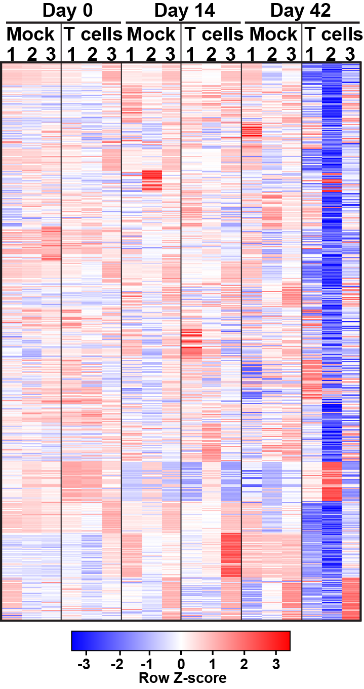 Fig_3_2017_11_16_draft_2