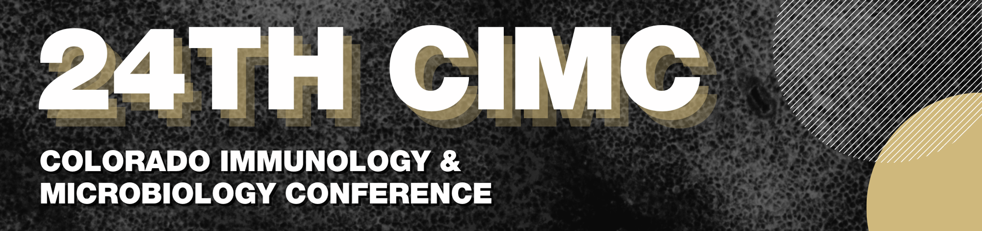 Bannerfor24thAnnualCIMC