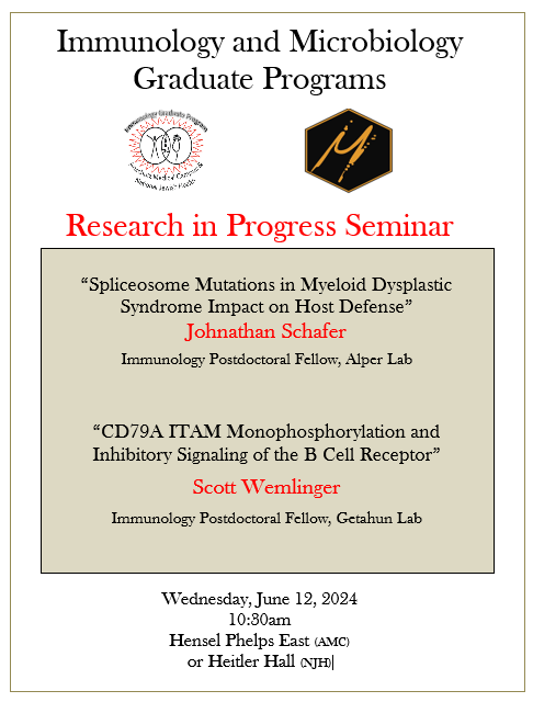 FlyerforResearchInProgresson6-12-24