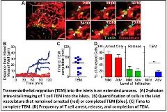 FreiedmanFigure4_opt