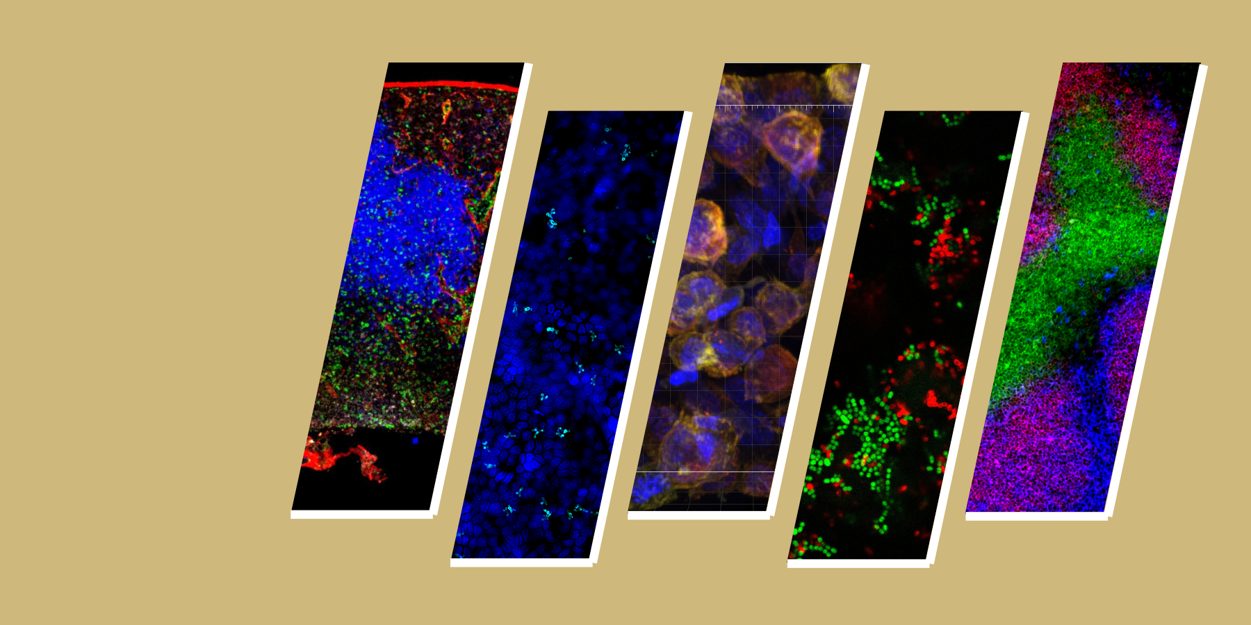 SLantedframedresearchphotos