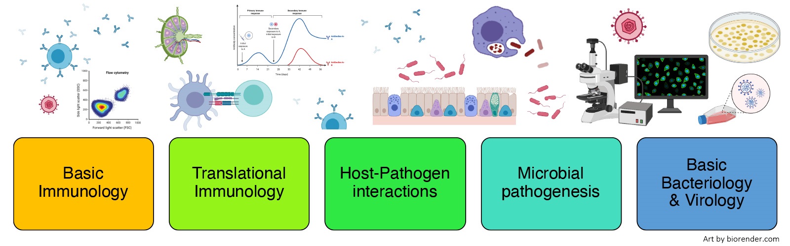 ImmuMicroResearchHeroImage_1