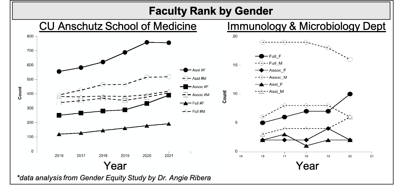 Faculty Rank by Gender