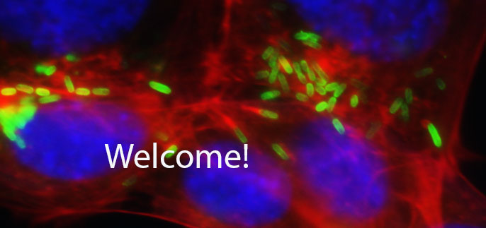 RussomicrowebsitephotoV1