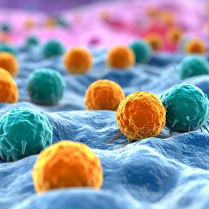 3DRenderofImmuneCellsinBody