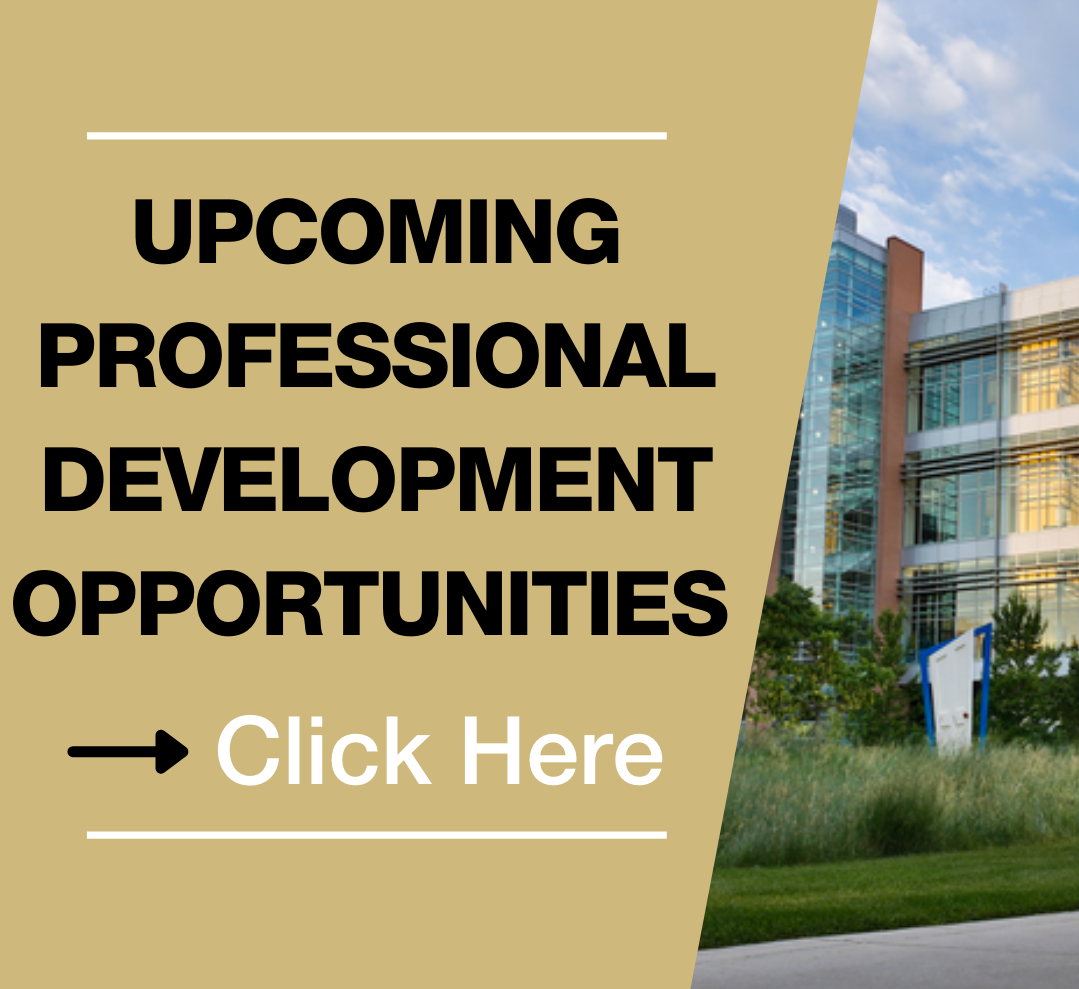 Professional Development Opportunities