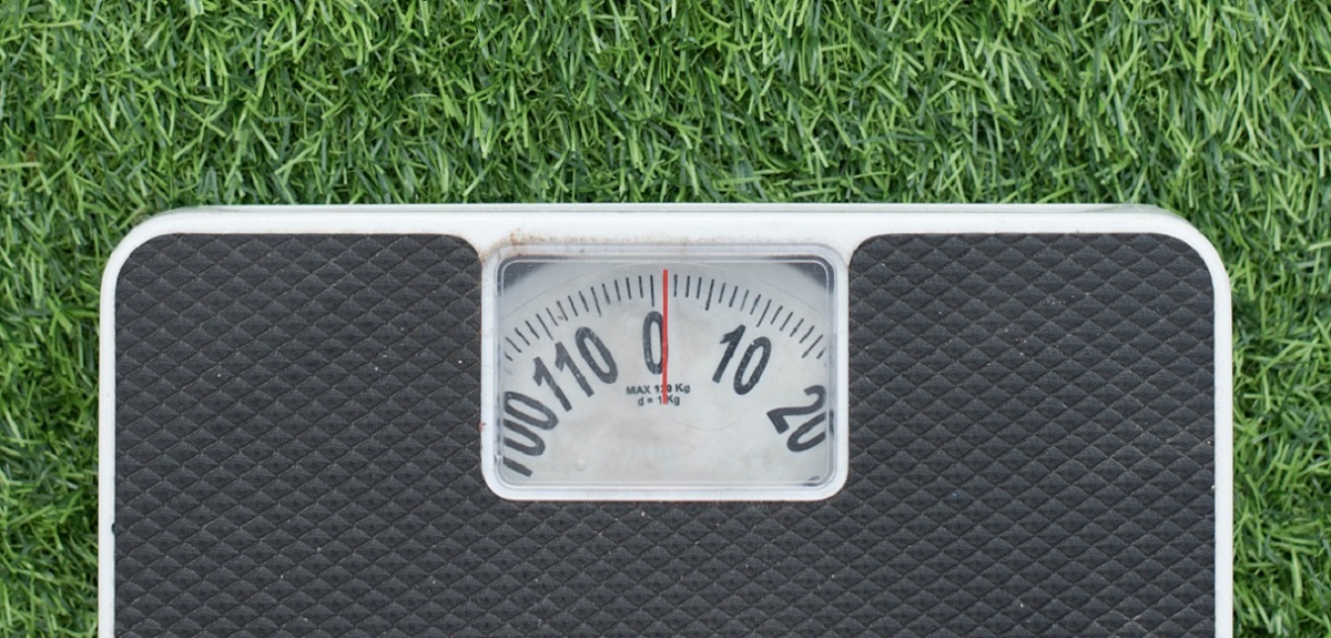 Nature Wants Us to Be Fat