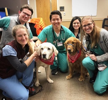 University Of Colorado Internal Medicine Residency Program