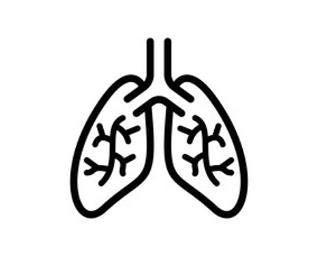 Pulmonary