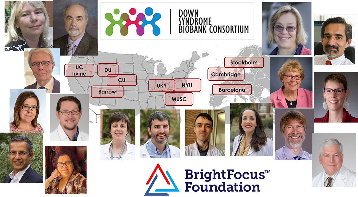 DSBC