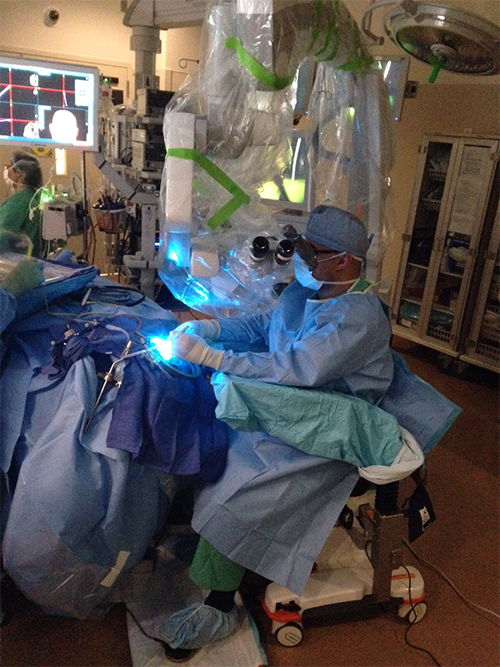 Cranial and Skull Page