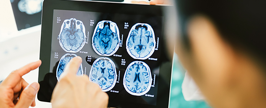 Department Of Neurosurgery Skull Base Program