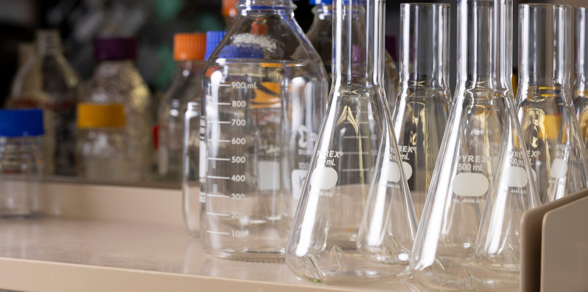 Beakers in a neurosurgery research lab
