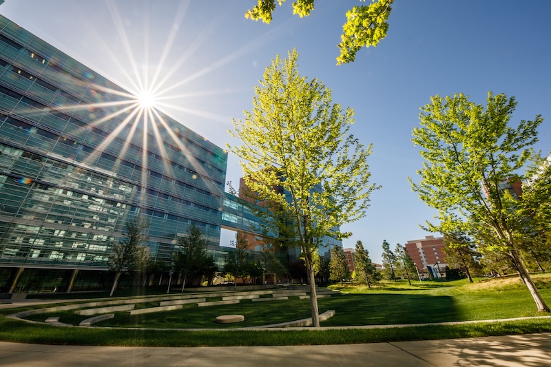 Research building on campus on a spring morning