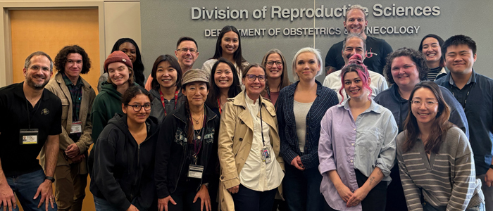 Gynecologic Oncology Research Group