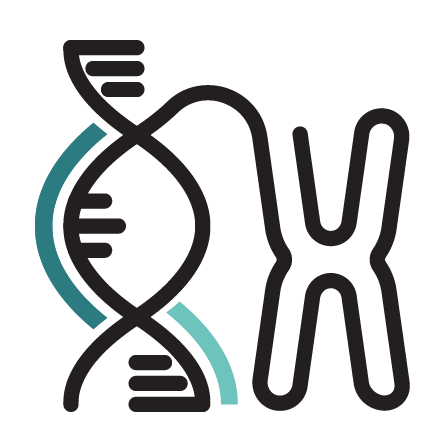 DNA Icon