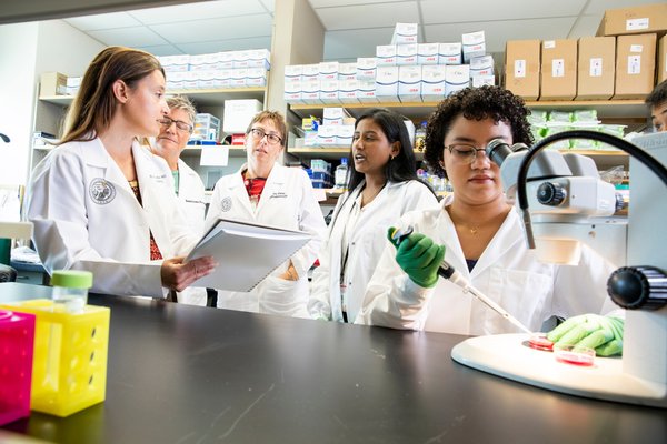 Ophthamology_ReseearchLab-006_full