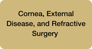 Cornea, External Disease, and Refractive Surgery