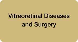 Vitreoretinal Diseases and Surgery
