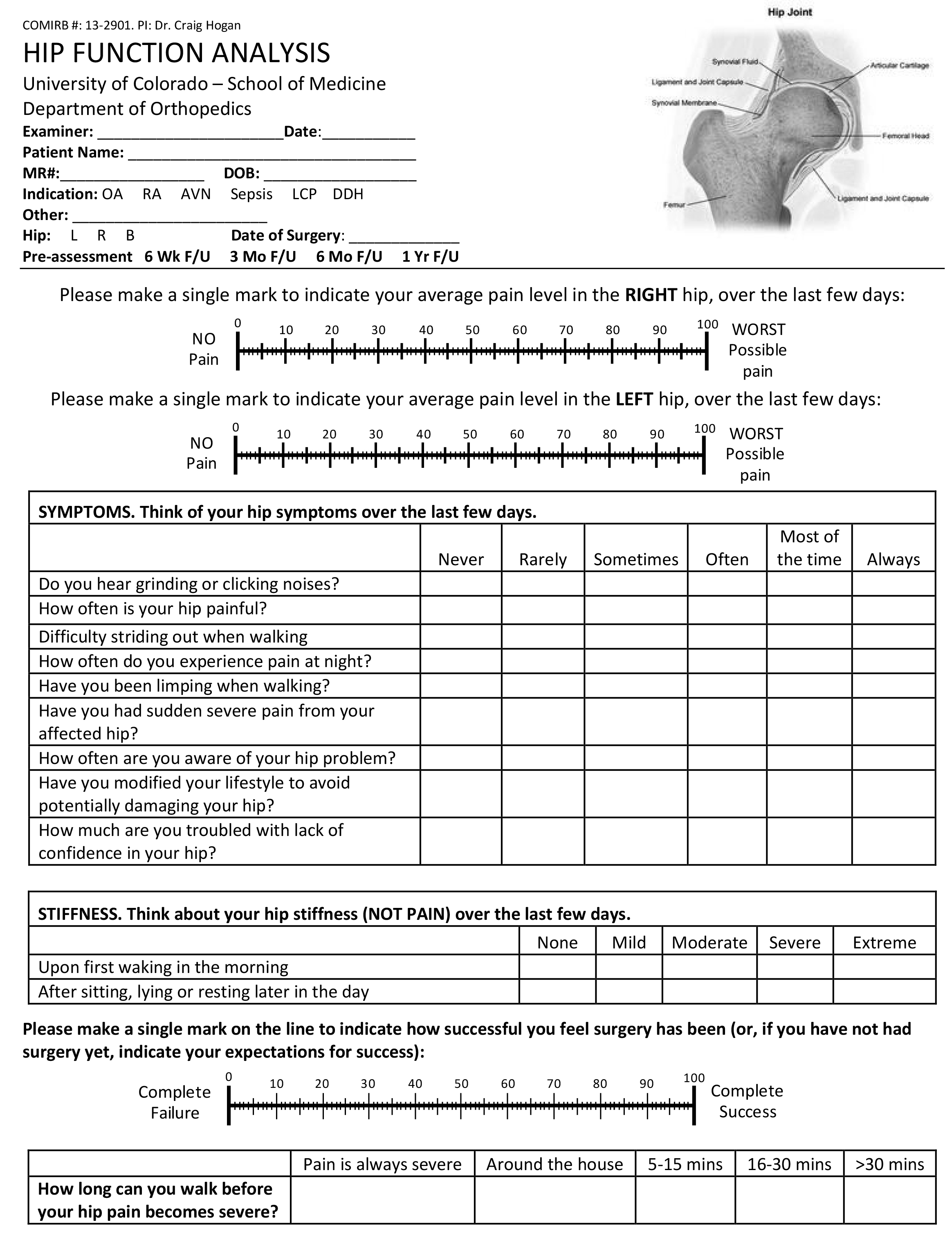 Hip Function Analysis