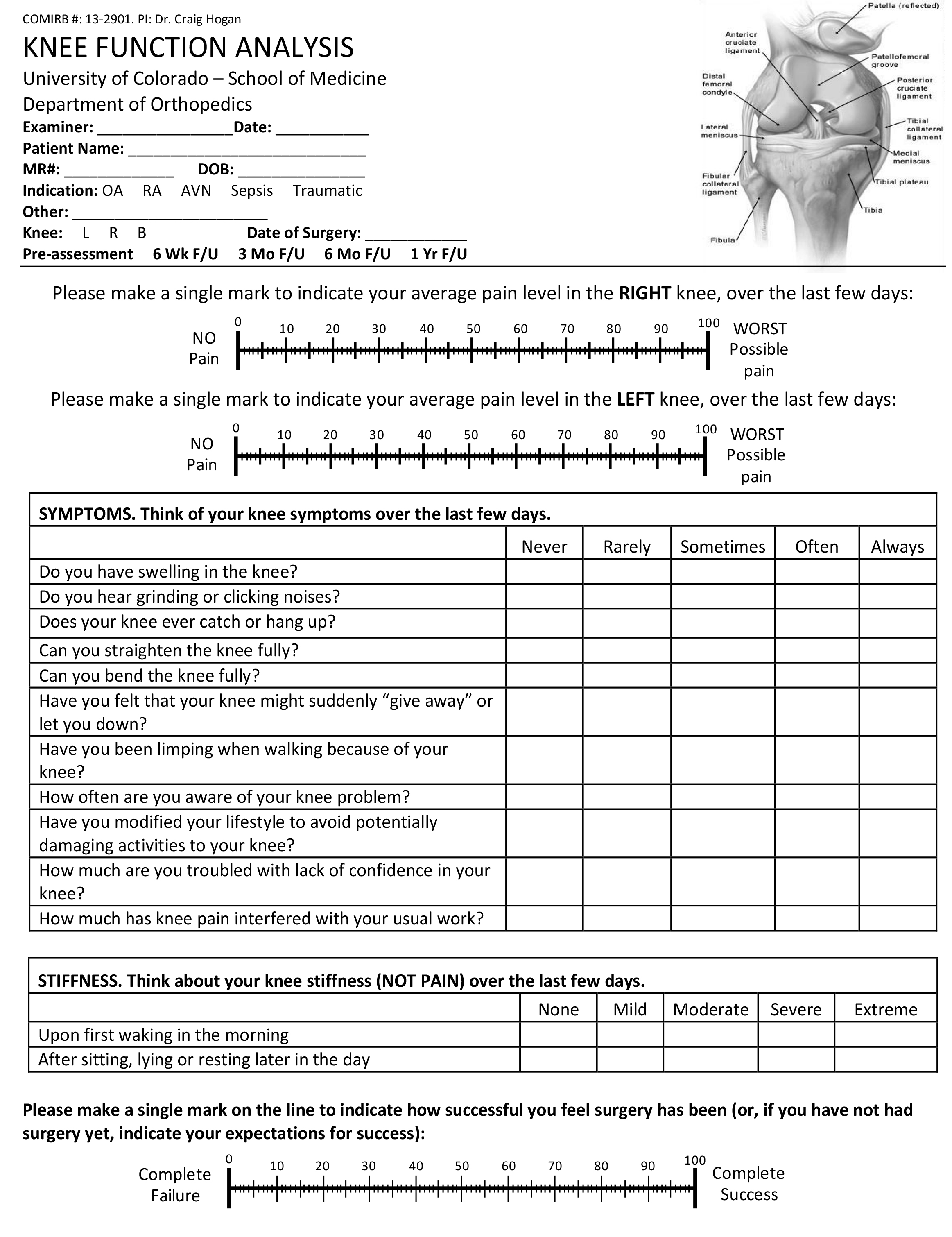 Knee Function Analysis