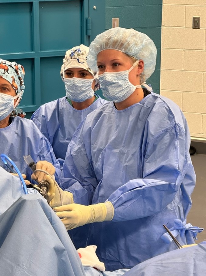Women in Orthopedics